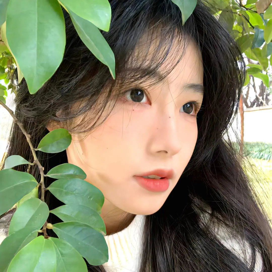 怜悯的种类