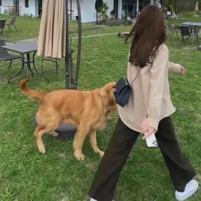 清明上河图